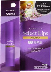 Бальзам для губ, Select Lips Aroma, Omi Brotherhood, 4 г - фото