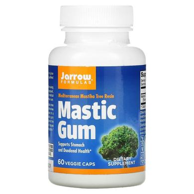 Смола мастикового дерева, Mastic Gum, Jarrow Formulas, 500 мг, 60 капсул - фото