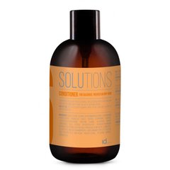 Кондиціонер для пофарбованого хімічно обробленого і сухого волосся, Solutions №6 Conditioner Mini, IdHair, 100 мл - фото
