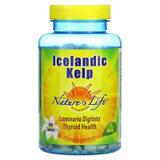 Ламинария Исландская, Icelandic Kelp, Nature's Life, 500 таблеток, фото
