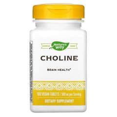 Холин, Choline, Nature's Way, 500 мг, 100 таблеток - фото