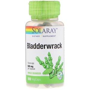 Бурые водоросли, Bladderwrack, Solaray, для веганов, 580 мг, 100 капсул - фото