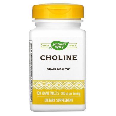 Холин, Choline, Nature's Way, 500 мг, 100 таблеток - фото