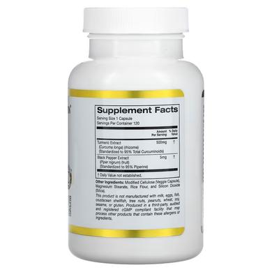 Куркумин, комплекс С3, California Gold Nutrition, 500 мг, 120 капсул - фото