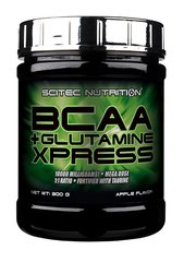 Комплекс амінокислот BCAA з глютаміном, BCAA + Glutamine Xpress, Scitec Nutrition, смак холодний чай, 300 г - фото