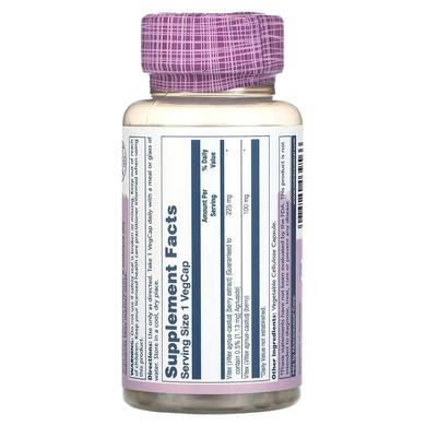 Вітекс священний, екстракт ягід, Vitex, Solaray, 225 мг, 60 капсул - фото