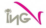ING Professional логотип