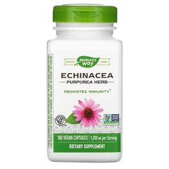 Эхинацея (Echinacea), Nature's Way, органик, 400 мг, 180 капсул - фото