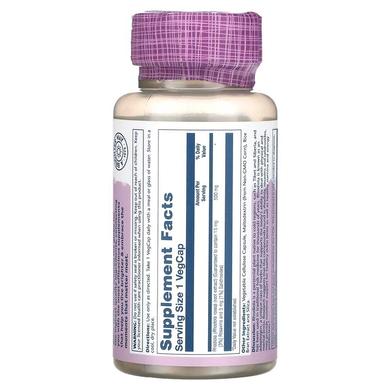 Екстракт родіоли, Super Rhodiola Extract, Solaray, 500 мг, 60 капсул - фото