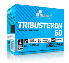 Тестостероновый бустер Tribusteron 60, Olimp, 120 капсул - фото