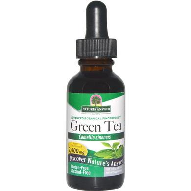 Зеленый чай (Green Tea), Nature's Answer, без спирта, 2000 мг, 30 мл - фото