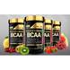 BCAA Train + Recover, фруктовый пунш, Optimum Nutrition, 280 г, фото – 2