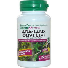 Экстракт листьев оливы, Olive Leaf, Nature's Plus, Herbal Actives, комплекс, 750 мг, 60 капсул - фото