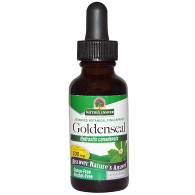 Желтокорень (гидрастис), Goldenseal, Nature's Answer, без спирта, 500 мг, 30 мл - фото