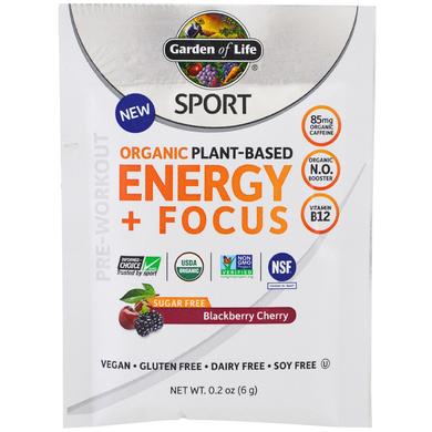 Растительный белок перед тренировкой, Energy + Focus, Garden of Life, Sport, органик, вкус ежевики и вишни, 12 пакетов по 6 г - фото