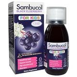 Чорна бузина, Black Elderberry, Sambucol, сироп для дітей, 120 мл, фото