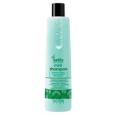 Шампунь для глибокого очищення волосся з Ментолом, Seliar mint, Echosline, 350 мл - фото