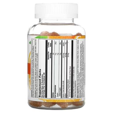 Zand, Жевательный витамин C, ацерола и шиповник, повышение иммунитета, 60 жевательных конфет (ZAN-32235) - фото