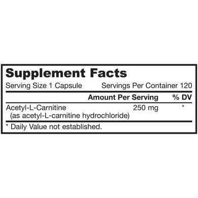 Ацетил карнитин, Acetyl L-Carnitine, Jarrow Formulas, 250 мг, 120 капсул - фото