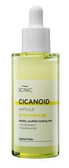 Антивікова сироватка з циканоїдом, Cicanoid Ampoule, Scinic, 50 мл - фото