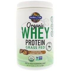 Сывороточный протеин, шоколадное арахисовое масло, Whey Protein, Garden of Life, органик, 392,5 г - фото