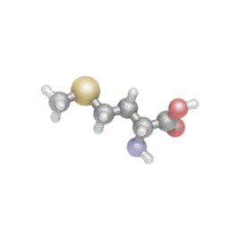 Метіонін, L-Methionine, Source Naturals, порошок, 100 г - фото