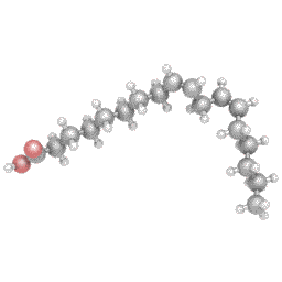 Конъюгированная линолевая кислота, Tonalin CLA, Swanson, 1000 мг, 180 гелевых капсул - фото