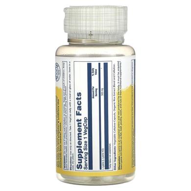 Лізин, L-Lysine, Solaray, 500 мг, 60 вегетаріанських капсул - фото