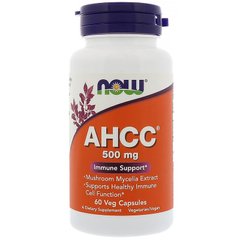 Зміцнення імунітету AHCC, Immune Support, Now Foods, 500 мг, 60 капсул - фото