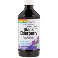 Черная бузина, концентрат сока, Black Elderberry, Solaray, жидкость, 240 мл - фото