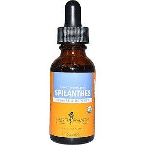 Спілантес, незбиране рослина, Spilanthes, Herb Pharmt, екстракт, органік, 30 мл - фото