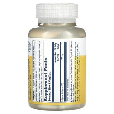 Лізин, L-Lysine, Solaray, 500 мг, 120 вегетаріанських капсул - фото