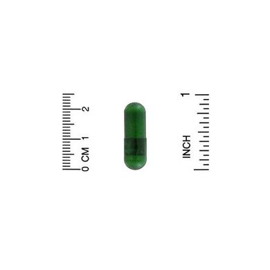 Гінкго Білоба, Gingko Biloba, California Gold Nutrition, EuroHerbs, 120 мг, 60 капсул - фото