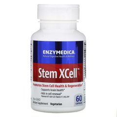Ферменты для мозга, Stem Xcell, Enzymedica, 60 капсул - фото