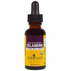 Чистотіл, екстракт, Celandine, Herb Pharm, органік, 30 мл - фото