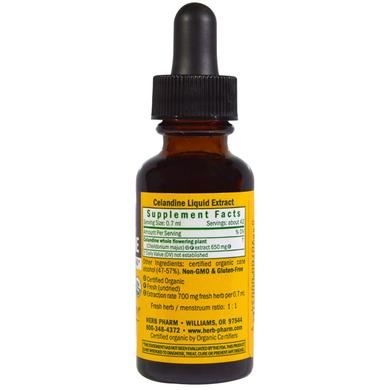 Чистотіл, екстракт, Celandine, Herb Pharm, органік, 30 мл - фото