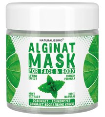 Альгинатная маска с мятой, Mint Alginat Mask, Naturalissimo, 50 г - фото