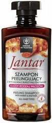 Ензимний шампунь з екстрактом бурштину, Jantar Peeling Shampoo, Farmona, 330 мл - фото