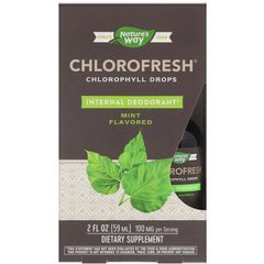 Жидкий хлорофилл, Chlorophyll Drops, Nature's Way, вкус мяты, 59 мл - фото