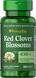 Красный клевер, Red Clover Blossoms, Puritan's Pride, 430 мг, 100 капсул, фото – 1