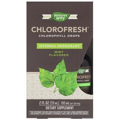 Рідкий хлорофіл, Chlorophyll Drops, Nature's Way, смак м'яти, 59 мл - фото