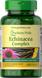 Комплекс ехінацеї, Echinacea Complex, Puritan's Pride, 450 мг, 100 капсул, фото – 1