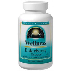 Укрепление иммунитета (бузина), Elderberry, Source Naturals, Wellness, экстракт, 500 мг, 60 таблеток - фото
