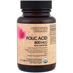 Фолієва кислота, Folic Acid, FutureBiotics, 120 таблеток - фото
