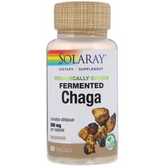 Гриб Чага ферментированный, Chaga, Solaray, органик, 500 мг, 60 вегетарианских капсул - фото