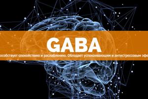 Как Габа (Gaba) может помочь укрепить здоровье и очистить организм