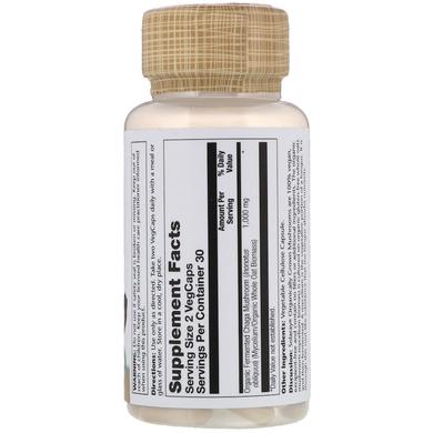 Гриб Чага ферментований, Chaga, Solaray, органік, 500 мг, 60 вегетаріанських капсул - фото