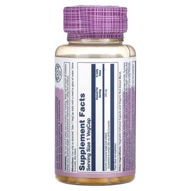 Экстракт куркумы, Turmeric Root Extract, Solaray, 300 мг, 60 капсул - фото