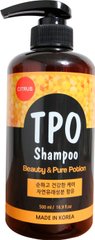 Натуральный питательный шампунь для блеска волос, Beauty & Pure Potion, Tpo Shampoo, 500 мл - фото