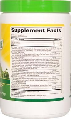 Суперфуд, Life's Greens Concentrated Superfood Formula, Puritan's Pride, 273 г - фото